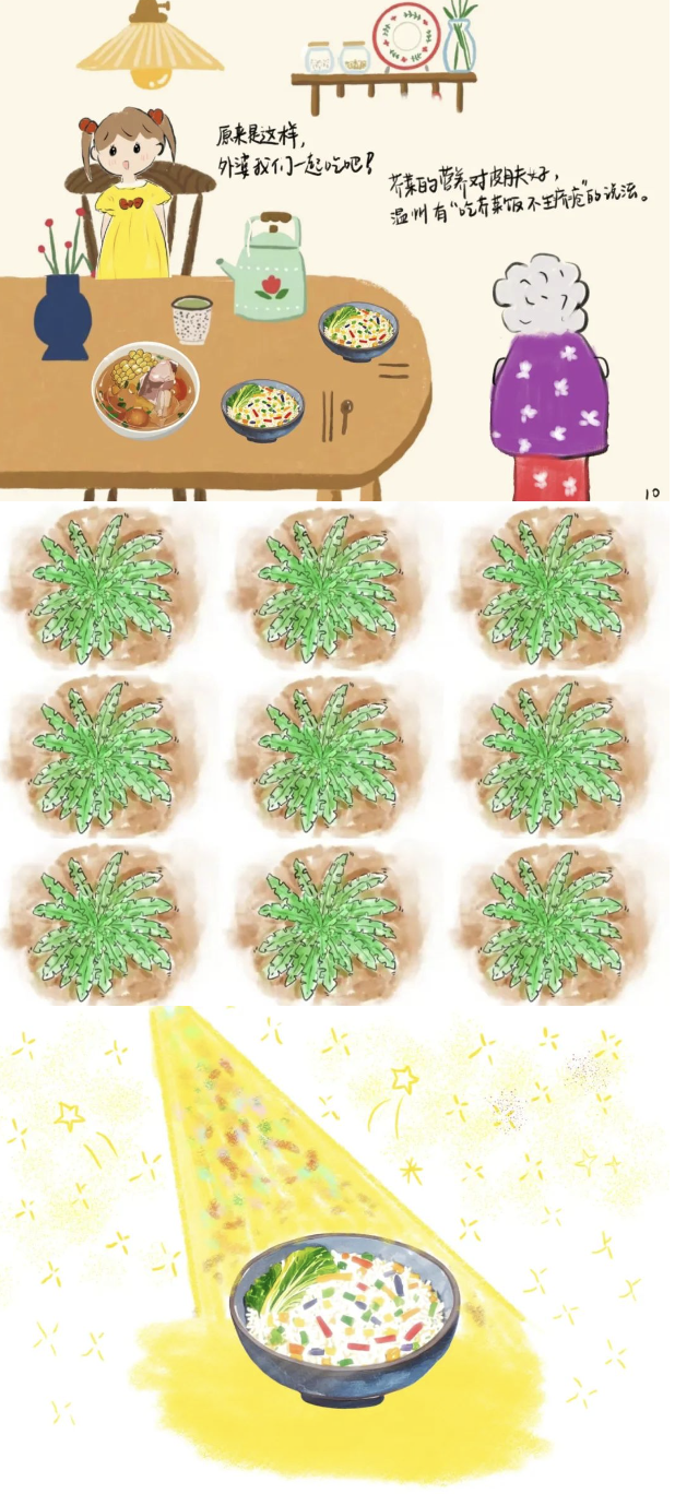 芥菜4.png